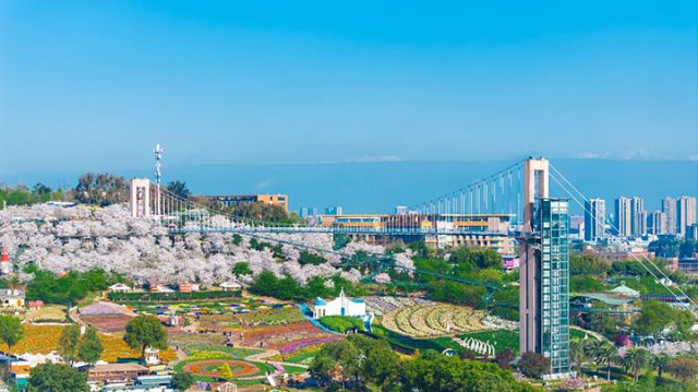 1764299359507445.jpg 图片1.jpg