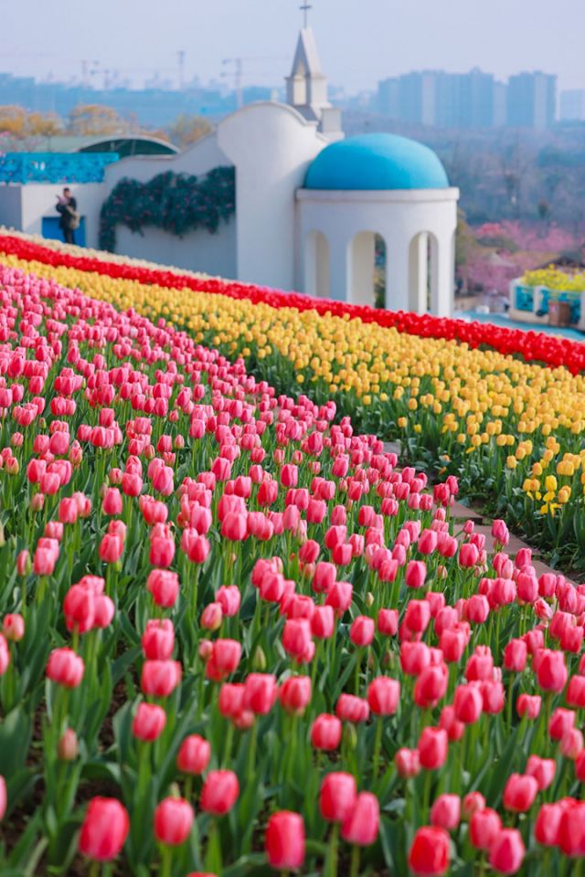 1764299370679154.jpg 图片3.jpg