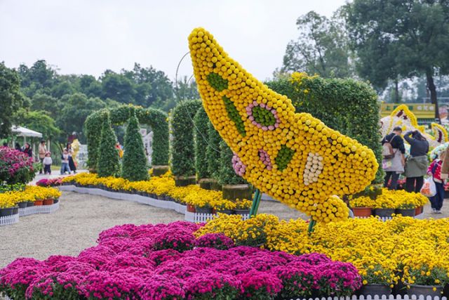 1764299409553862.jpg 图片4.jpg