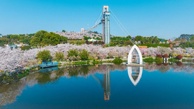 1764299414760847.jpg 图片5.jpg