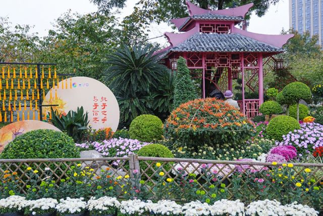 1764299419458999.jpg 图片6.jpg