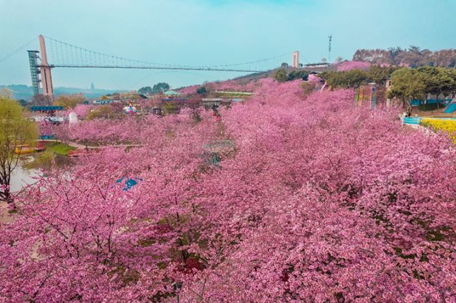 1764299424869802.jpg 图片7.jpg