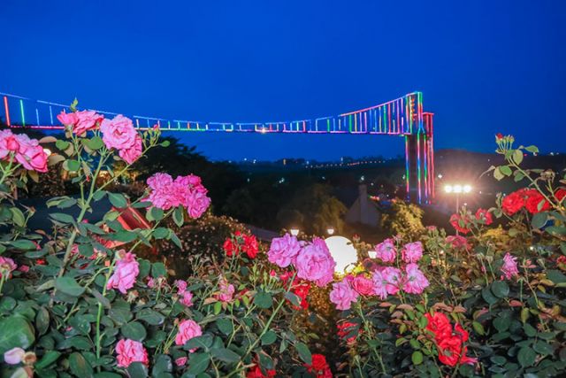 1764299438255870.jpg 图片8.jpg