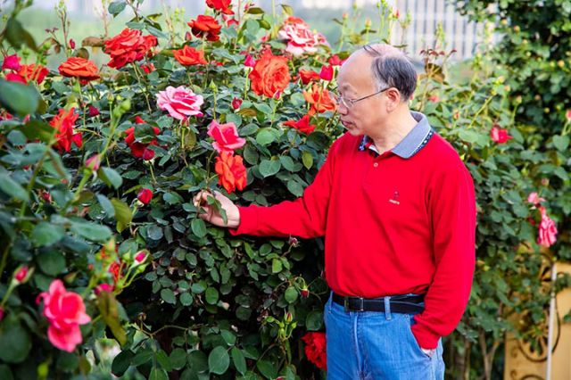 1764299450221344.jpg 图片10.jpg