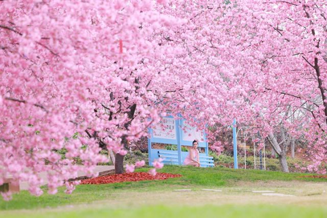 1764299456717346.jpg 图片11.jpg