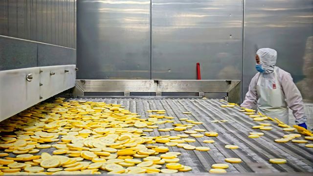 图4  切好的柠檬片。闫凯 摄.jpg