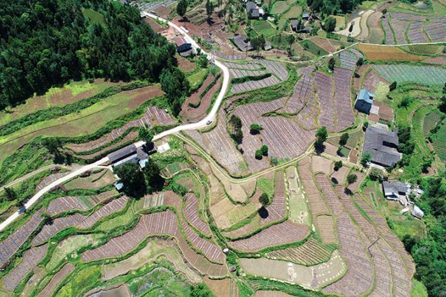 1764321490349814.jpg 图1 三江镇民主村的“四好农村路”.jpg