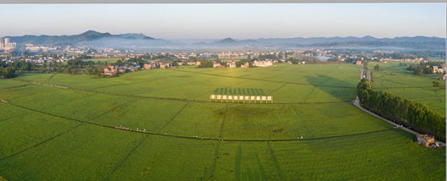 1766293241199376.jpg 2达州农商银行信贷支持的粮油现代农业园区.jpg