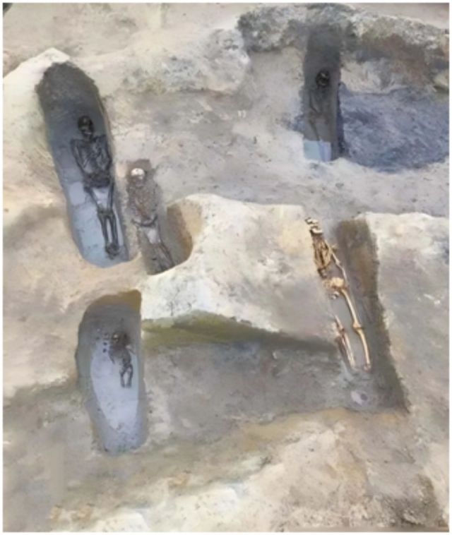 1767518813251997.jpg 图十.jpg